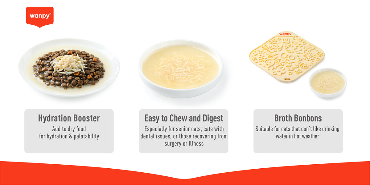 Wanpy Chicken Meat Broth used as hydration booster meal topper and soft cat food