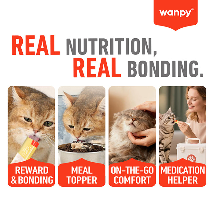 Wanpy Creamy Chicken cat treat served by hand in a bowl and as a dry food topper