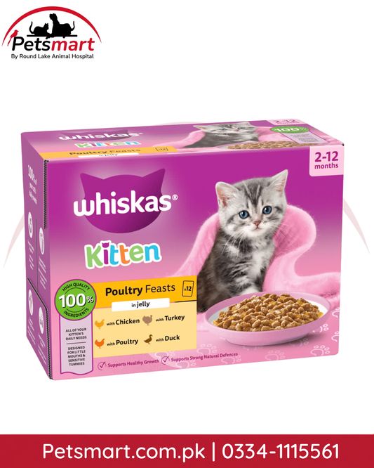 WHISKAS Poultry Feasts in Jelly Kitten Wet Cat Food 85g Pouch for Kittens 2–12 Months