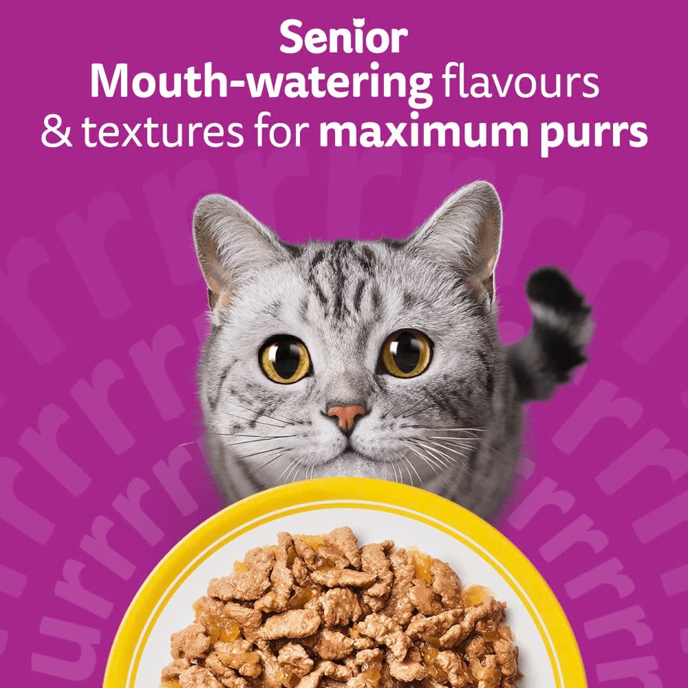 WHISKAS Poultry Feasts in Jelly Senior 7+ Wet Cat Food Pouch for Older Cats – Chicken, Duck, Poultry and Turkey Flavours