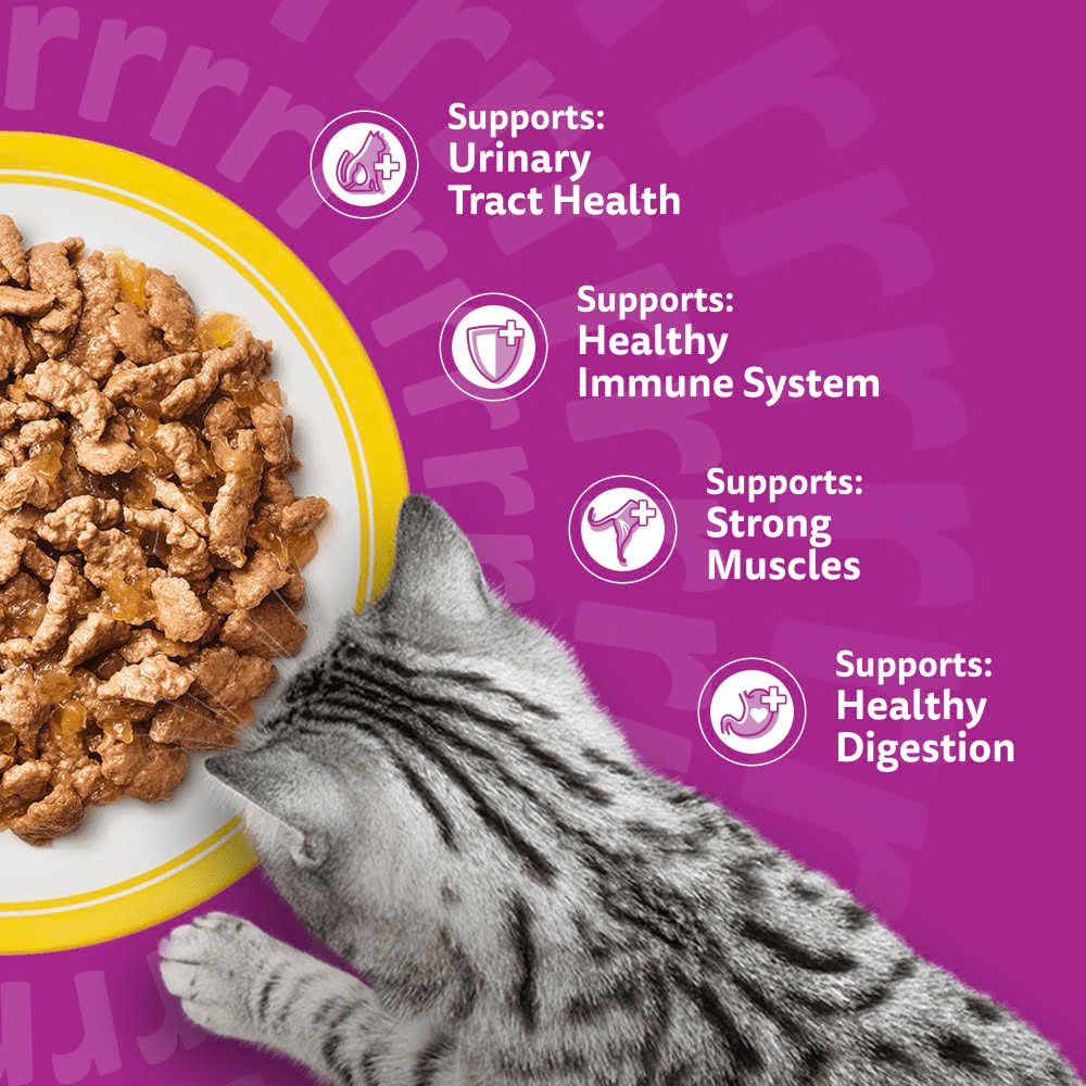 WHISKAS Poultry Feasts in Jelly Senior 7+ Wet Cat Food Pouch for Older Cats – Chicken, Duck, Poultry and Turkey Flavours