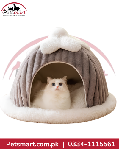 Winter plush cat house with enclosed dome design and soft cushioned interior