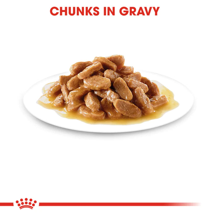 Royal Canin Puppy Maxi 140g