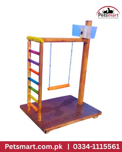 Wooden bird play stand with colorful ladder hanging swing and strong base