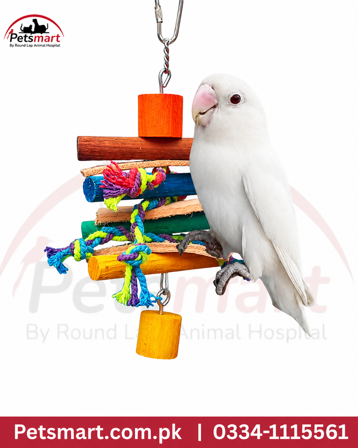 Colourful wooden block and knotted rope hanging toy being used by a pet bird