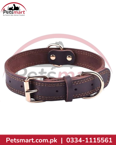 XL leather dog collar with metal buckle D-ring and reinforced stitching