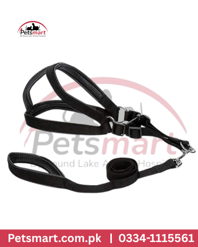 XS black dog body harness with matching leash and metal clip