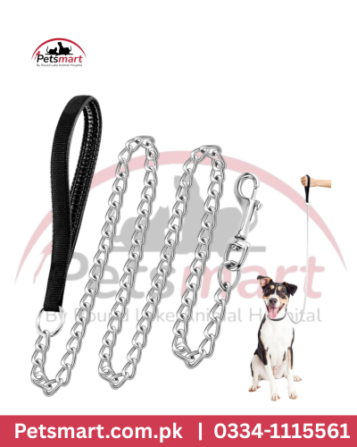 XXL silver dog chain leash with black padded handle and metal snap hook