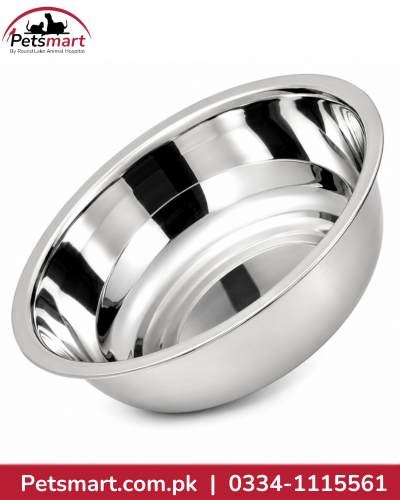 XXL silver stainless steel food and water bowl for cats and dogs