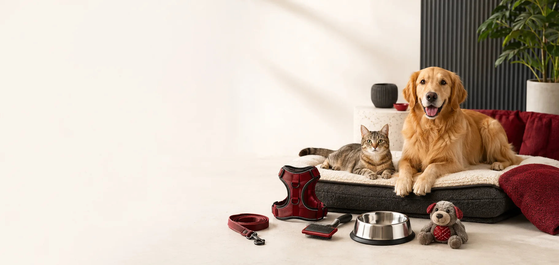 Practical pet accessories for feeding, grooming, walking and play.
