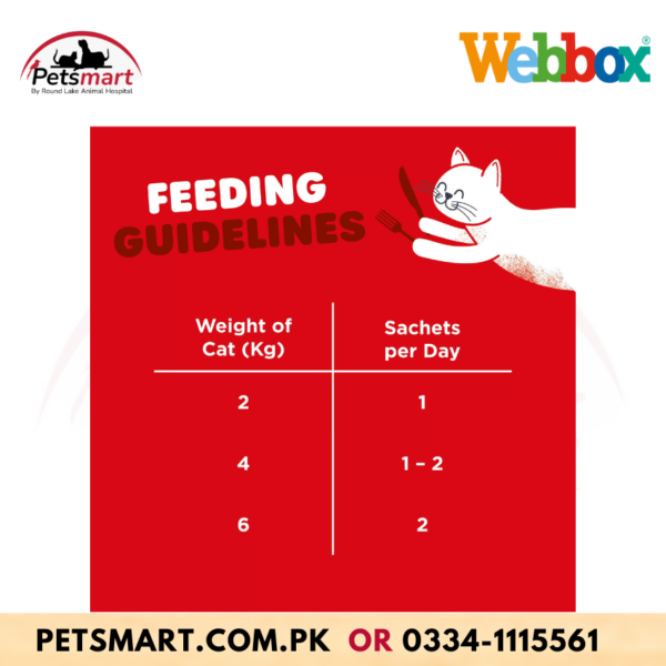 Webbox Lick-e-Lix with Beef Cat Treats - Image 3