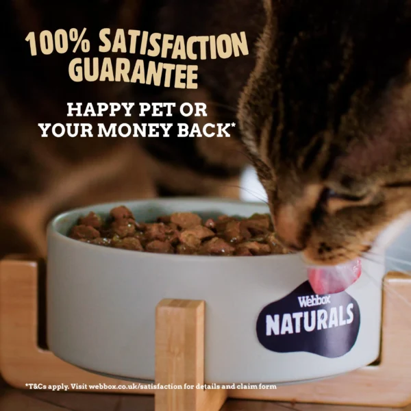 Webbox Naturals Chicken Mousse Cat Food - Image 3