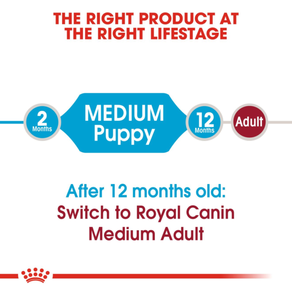 Royalcanin Medium Puppy Food - Image 4