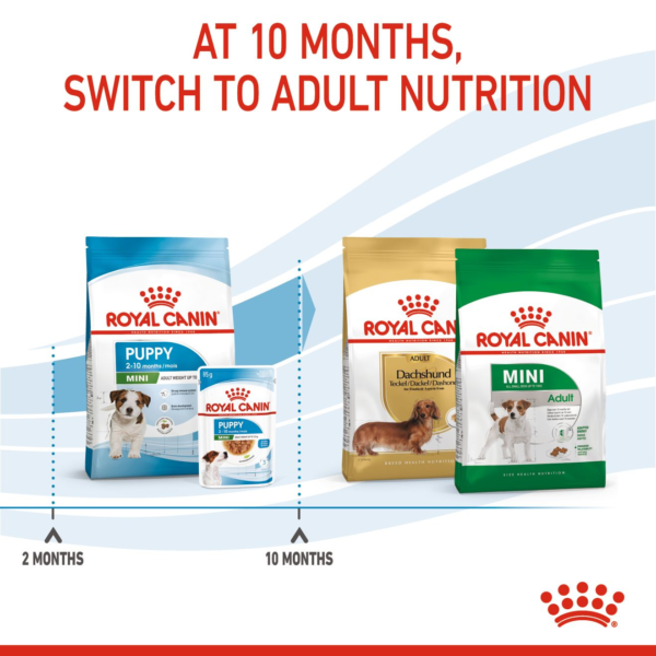 Royal Canin Mini Puppy Dry Food - Image 2