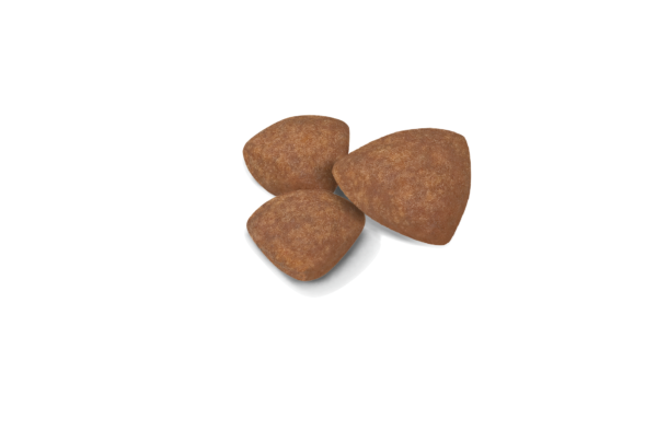 Royal Canin Mini Puppy Dry Food - Image 6