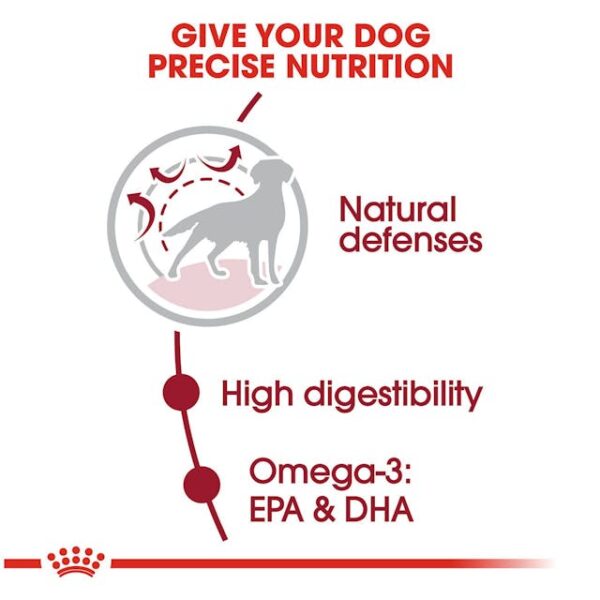 Royal Canin Medium Breed Adult Dry Dog Food - Image 3