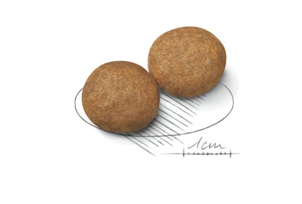 Royal Canin Medium Breed Adult Dry Dog Food - Image 2