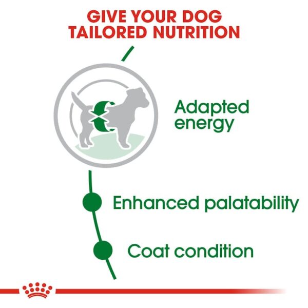 Royal Canin Mini Adult Dog Food - Image 3