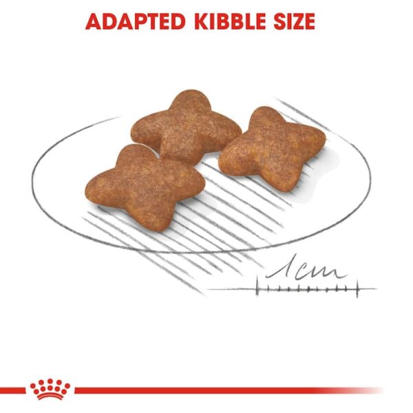 Royal Canin Mini Adult Dog Food - Image 4