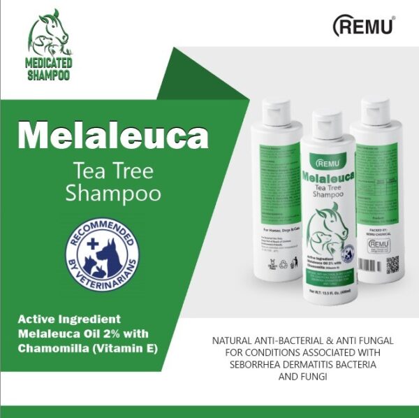 Melaleuca Tea Tree Shampoo 500ml - Image 2